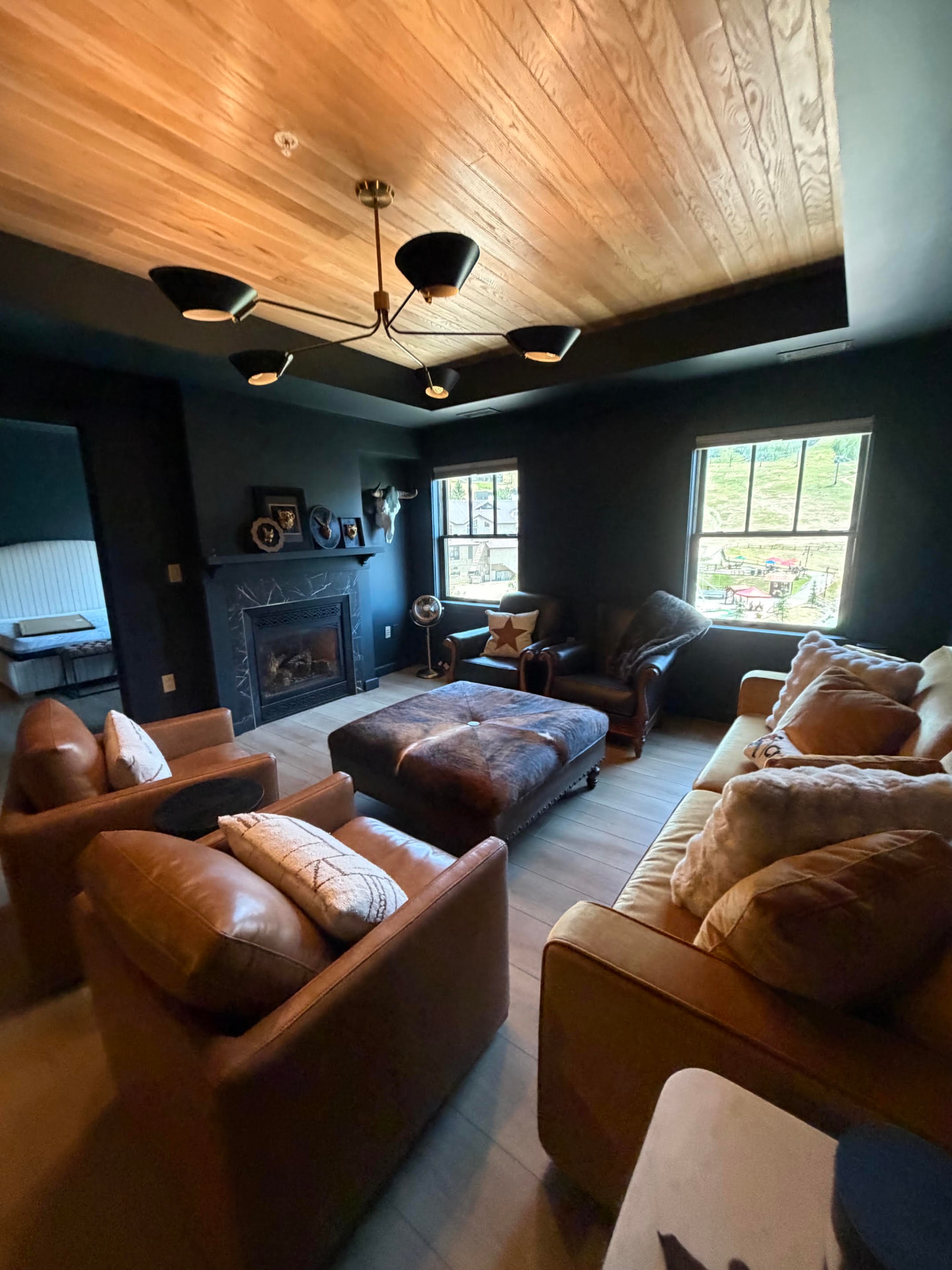 Living Room Ceiling